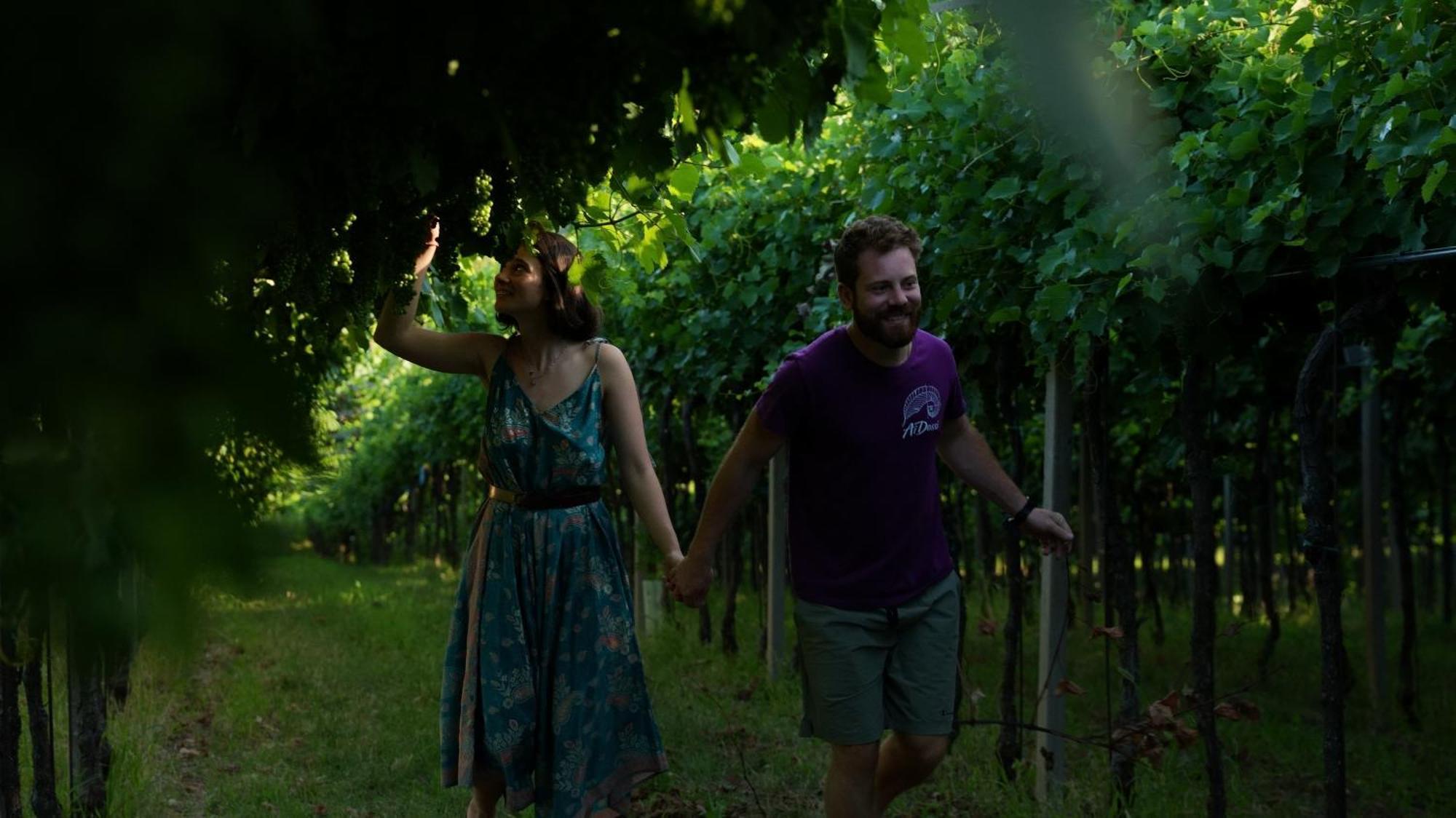Agriturismo Ai Dossi - Verona — Foto 1
